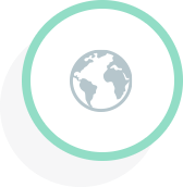 globe icon